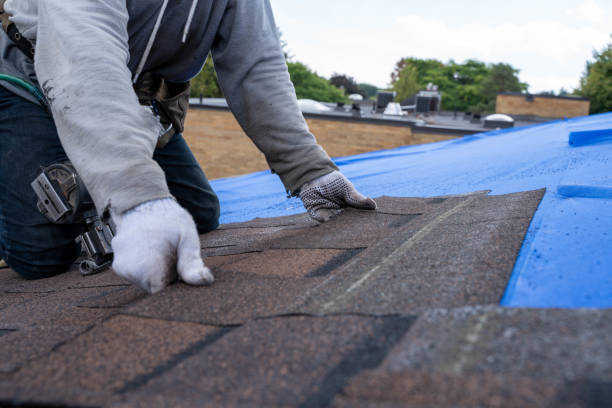 Sealant for Roof in Lexington, MN
