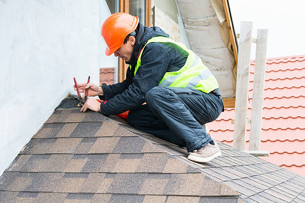 Best Roof Leak Repair  in Lexington, MN