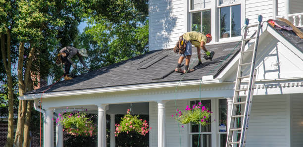 Best Roof Gutter Cleaning  in Lexington, MN
