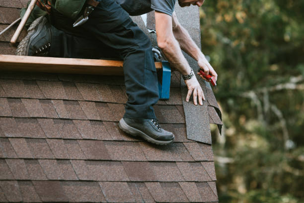 Roof Waterproofing Services in Lexington, MN